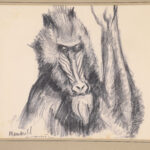 Robert Lauret – Image 2