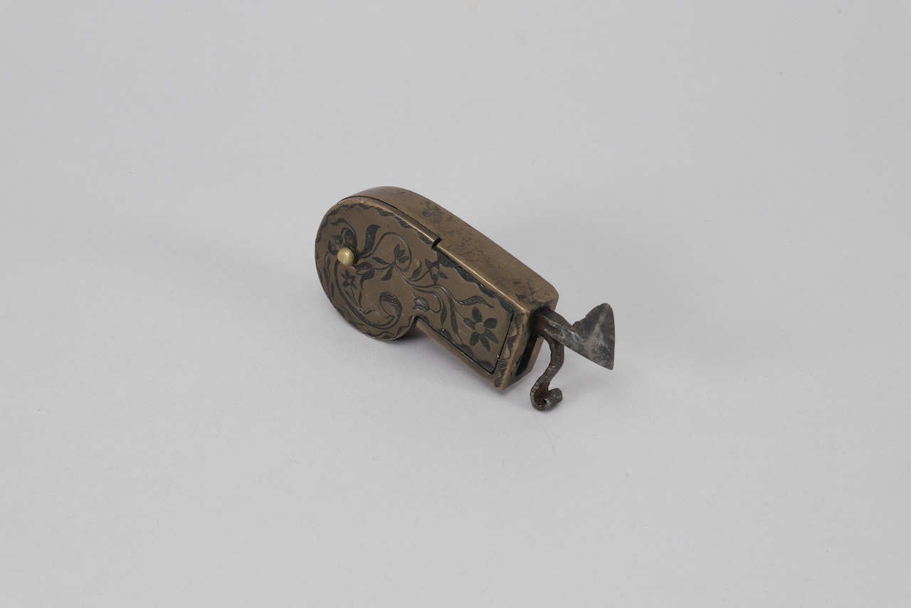 IMG_9760 Scarificator - Image 1