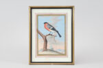Ten gouache watercolors of birds - Image 7
