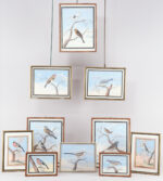 Ten gouache watercolors of birds