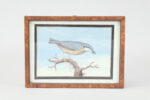 Ten gouache watercolors of birds - Image 3