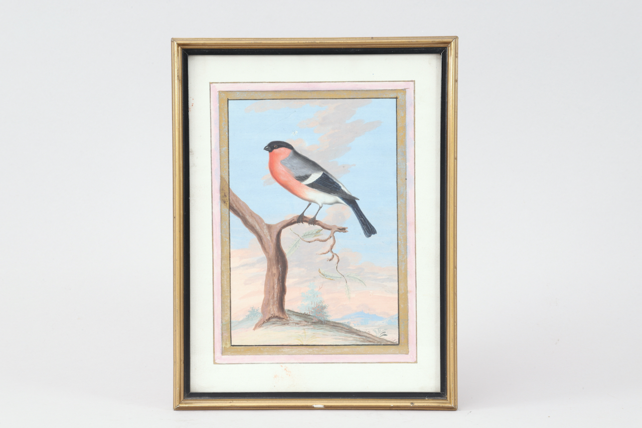 IMG_9994 Neuf gouaches aquarellées d'oiseaux – Image 1