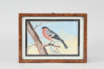 Ten gouache watercolors of birds - Image 2